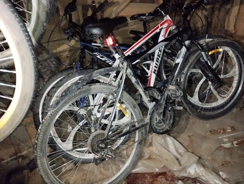Сотрудниками полиции Плесецкого округа задержаны подозреваемые в совершении серии краж велосипедов