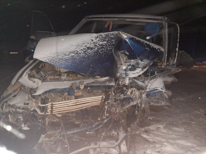 В Плесецком округе в результате дорожно-транспортного происшествия погиб человек