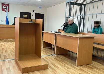 Жительница Плесецкого района предстанет перед судом по обвинению в умышленном причинении тяжкого вреда здоровью брата