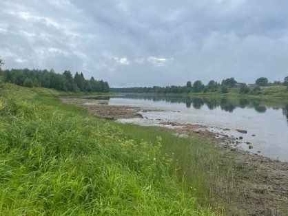 В Плесецком районе в реке Онега обнаружено тело разыскиваемого местного жителя