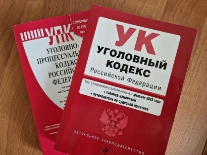 В Плесецком районе установлены подозреваемые в угоне автомобиля